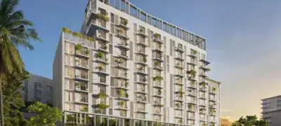 Domus-Building.jpg.webp